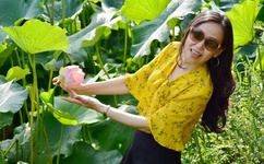 火影忍者直播室